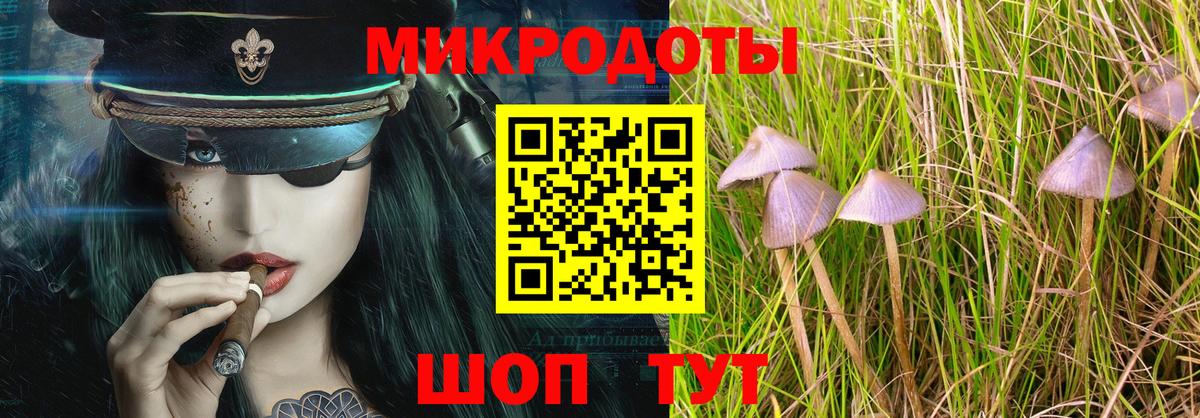 Заводоуковск  Псилоцибиновые грибы Cubensis  Вход с VPN 